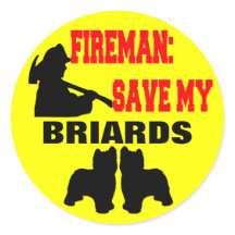 Fireman Spara My Briards