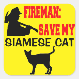 Fireman Spara My Siamese Cat Fyrkantigt Klistermärke