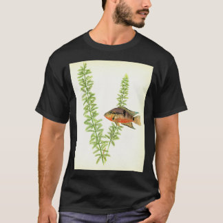Firemouth cichlid Thorichthys meeki T Shirt