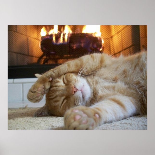 Fireplace Cat Poster (Framsidan)