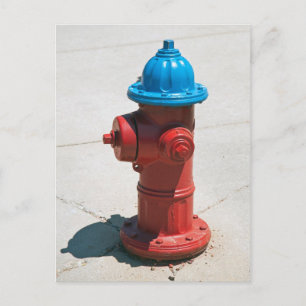 FIREPLUG VYKORT