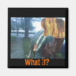 Firery Dino, vad händer? Magnet