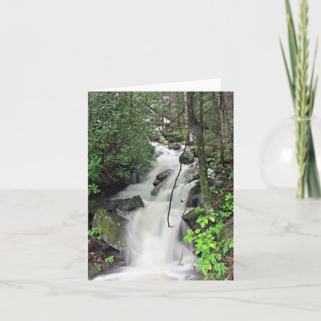 Fires Bäck Kort (Framsida)