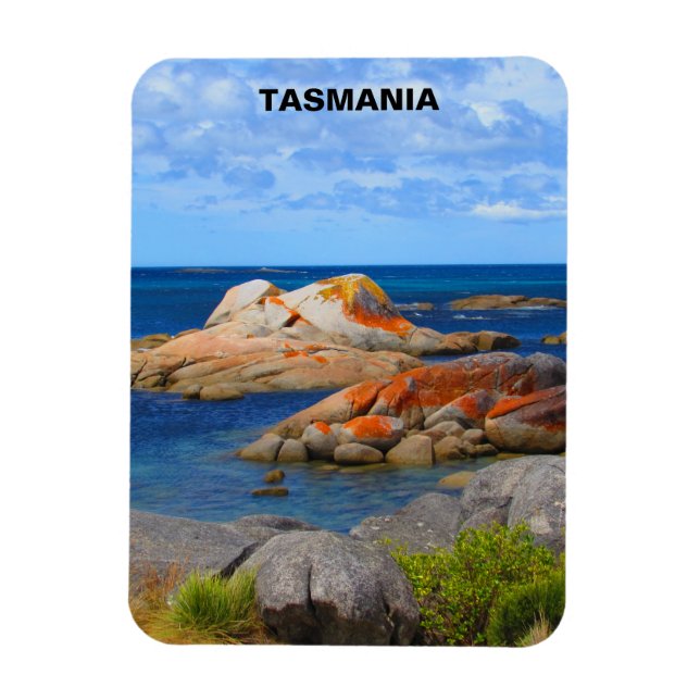 Fires, Tasmania, Australien Magnet (Vertikal)