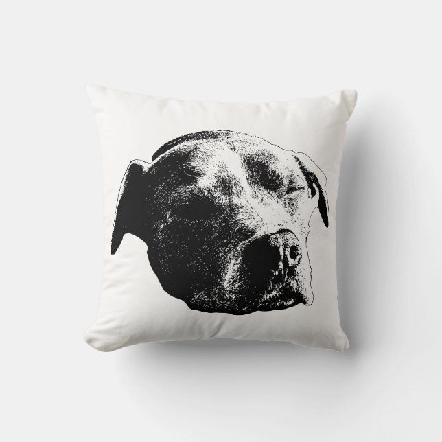 Fireside Daydröm Kudde (Framsida)