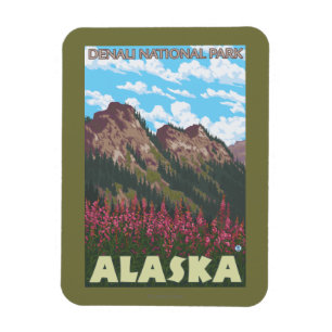 Fireweed & berg - Denali nationalpark, Magnet