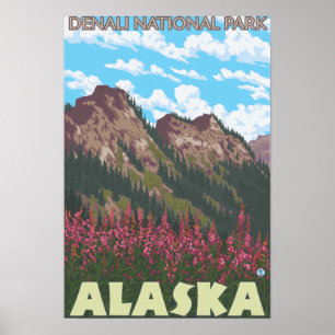 Fireweed & berg - Denali nationalpark, Poster