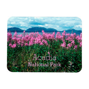 Fireweed Blommars, Baker Island, Acadia NP Magnet
