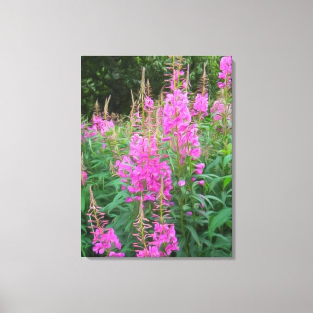 Fireweed Canvastryck (Framsida)
