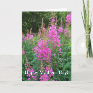 Fireweed Kort