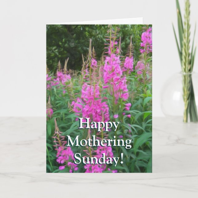 Fireweed Kort (Framsida)