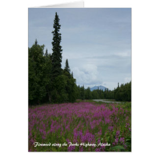 Fireweed längs Parker Highway, Alaska OBS Kort