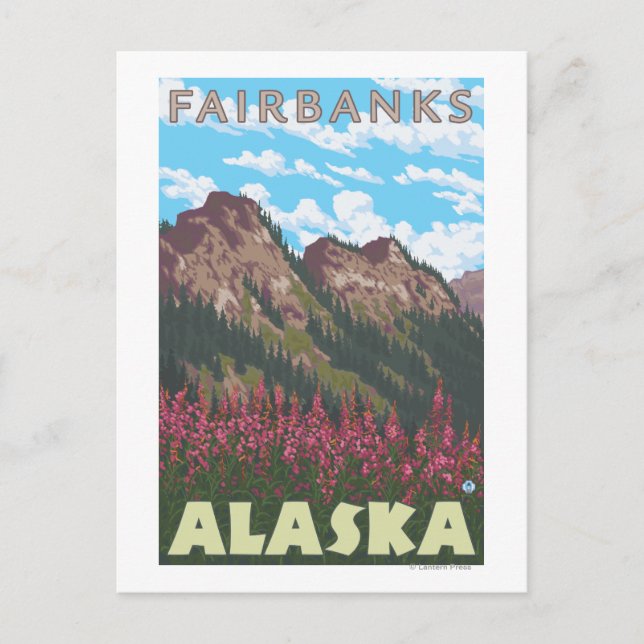 Fireweed & Mountains - Fairbanks, Alaska Vykort (Framsida)