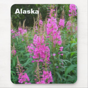 Fireweed Musmatta