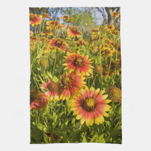 Firewheels Gaillardia pulchella) vilda blommor Kökshandduk