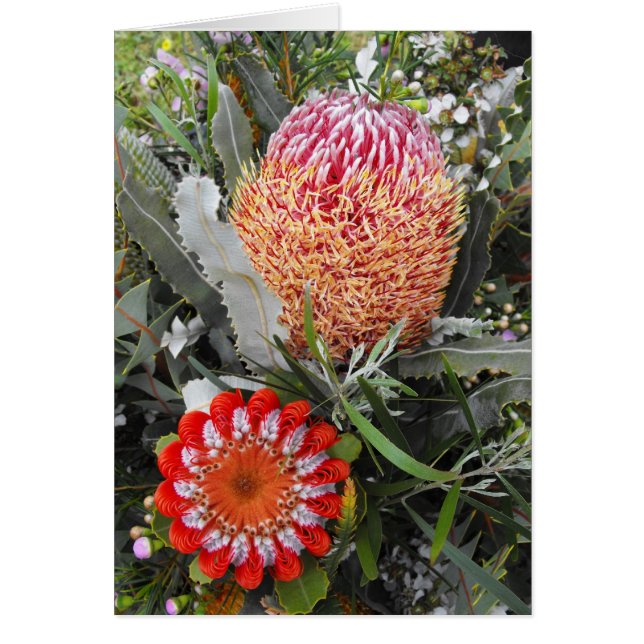 Firewood and Scarlet Banksia Hälsningskort (Framsidan)