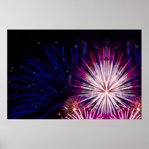 Fireworks Blue Rosa and White Poster