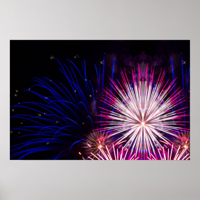 Fireworks Blue Rosa and White Poster (Framsidan)