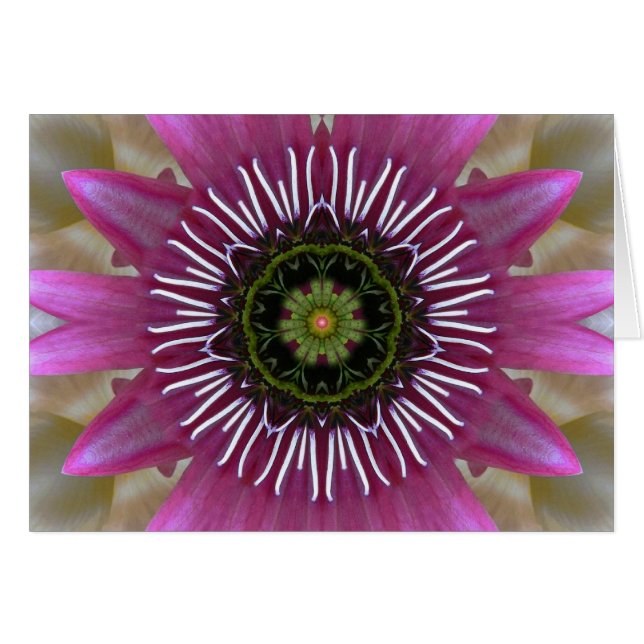 Fireworks Fuchsia Mandala kort (Framsidan Horizontal)