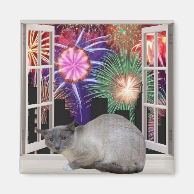 Fireworks Magnet (Framsidan)