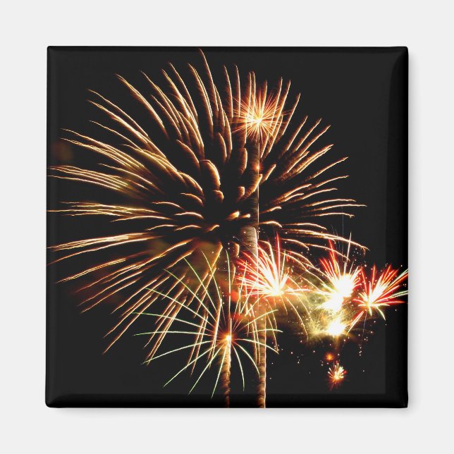 Fireworks Magnet (Framsidan)