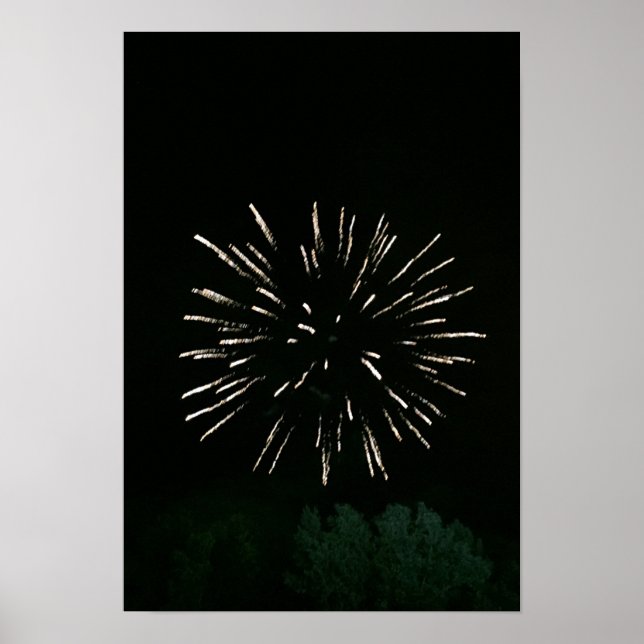 Fireworks med Träd Poster (Framsidan)