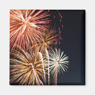 Fireworks P0541 Magnet