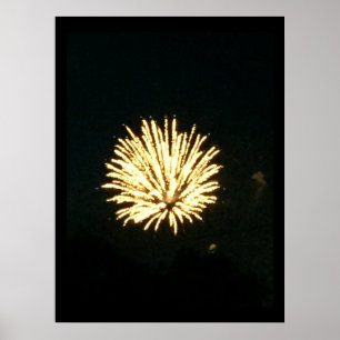 Fireworks Photo Poster