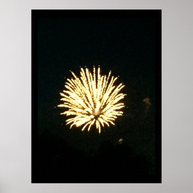 Fireworks Photo Poster (Framsidan)