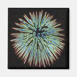 Fireworks Teal magnet