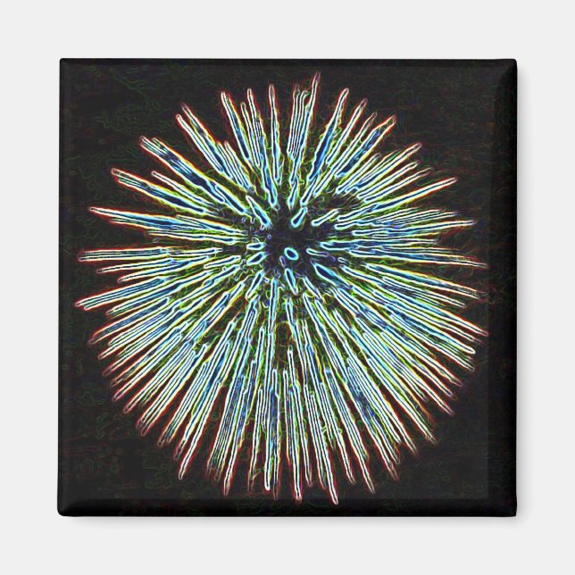Fireworks Teal magnet (Framsidan)