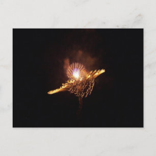 FIREWORKS VYKORT