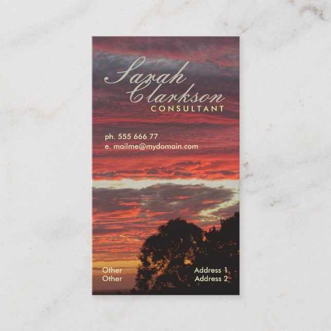 Firey Lagrar Skys Lodrät Affärskort Visitkort (Framsida)