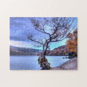Firkin Point, Loch Lomond, Scotland Jigszons pusse Pussel