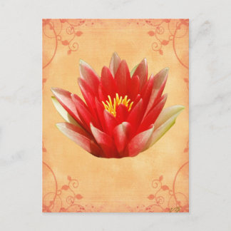 First Chakra Gift Vykort