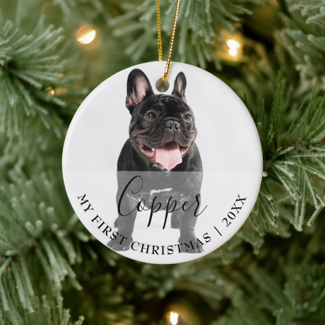 First Christmas Pet 2 Photo Script Name Ornament (Träd)
