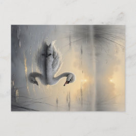 First Light Kin Swan Postcard Vykort