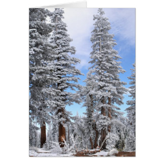 First Snowfall OBS Kort