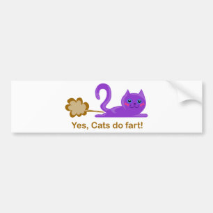 Fisa katten, kattfisar! bildekal