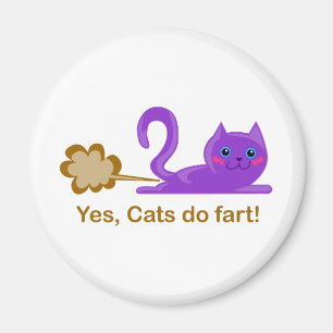 Fisa katten, kattfisar! magnet