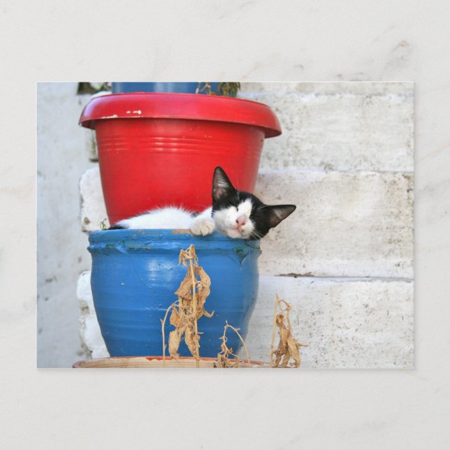 Fiscardo, Kefalonia Vykort (Framsida)