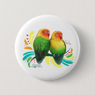 Fischer Lovebird Knapp