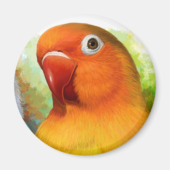 Fischer lovebird magnet (Framsidan)