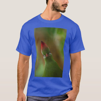 Fischer Turaco-fågel porträtt T Shirt