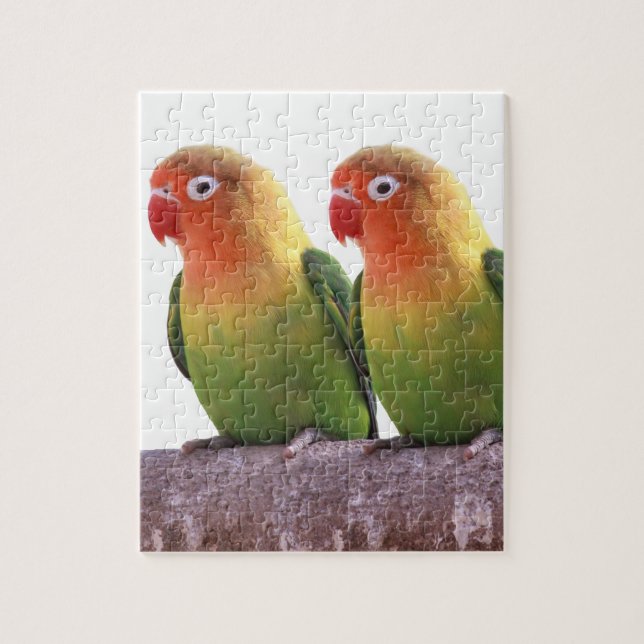 "Fischer's Lovebird"の 優 製 品 Pussel (Vertikal)