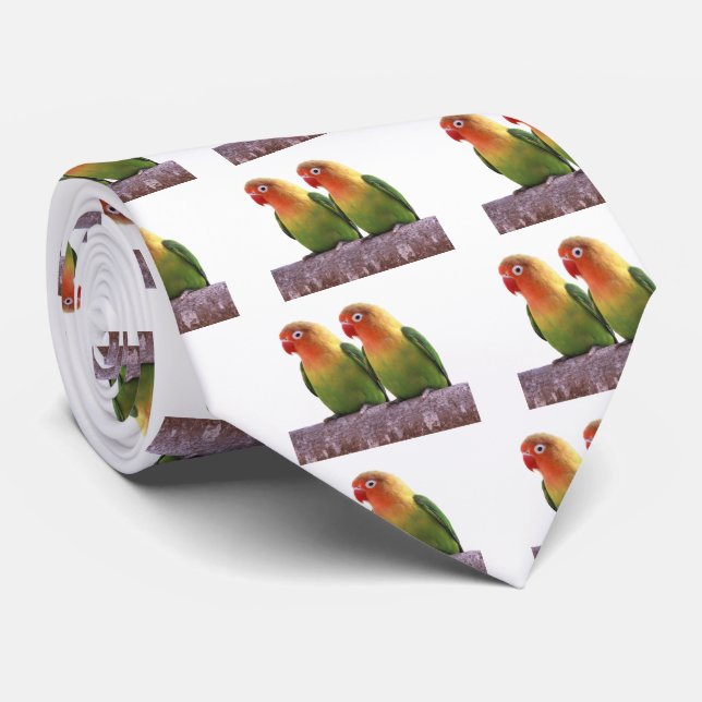 "Fischer's Lovebird"の 優 製 品 Slips (Rullad)