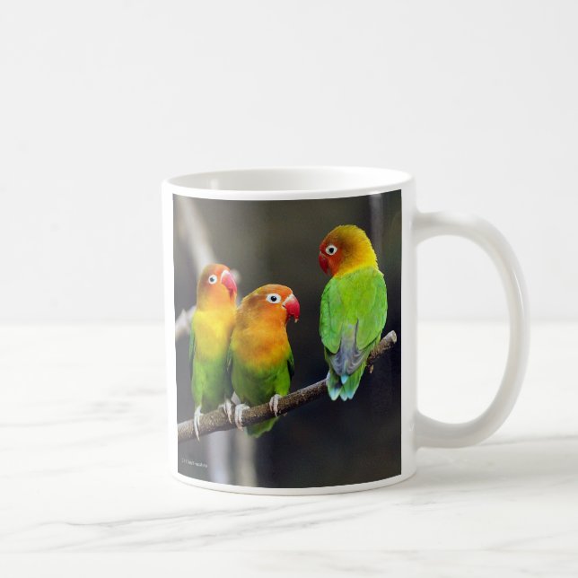 “Fischer's Lovebird” Kaffemugg (Höger)