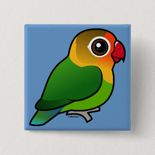 Fischers Lovebird Knapp