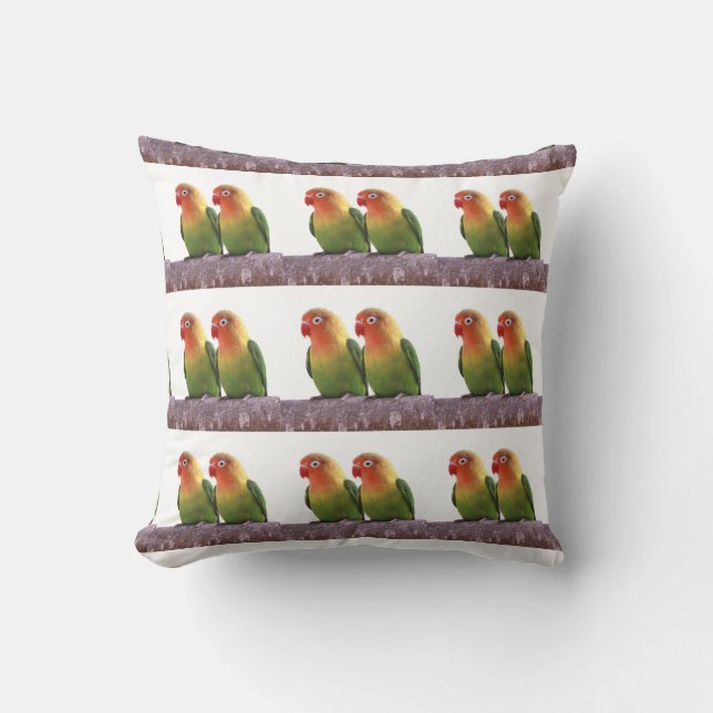 Fischer's Lovebird Kudde (Framsida)
