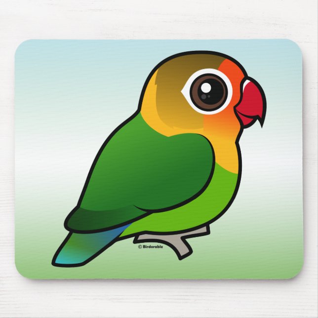 Fischers Lovebird Musmatta (Framsidan)